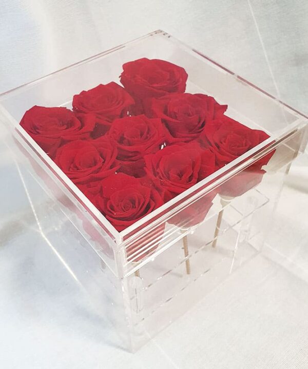 Preserve Red Rose Acrylic Box