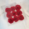 Preserve Red Roses Acrylic Box