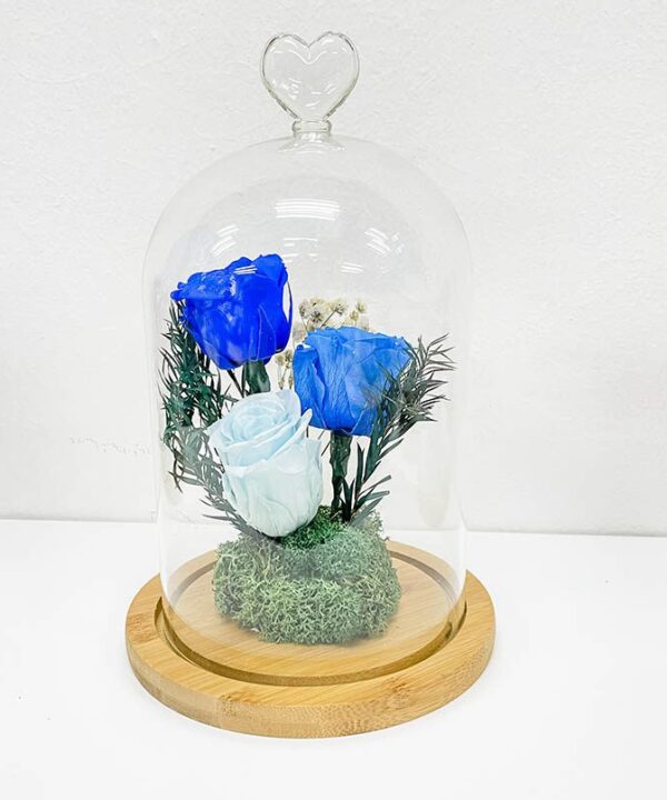 Valentines Preserved Red 3 Rose Blue Belljar