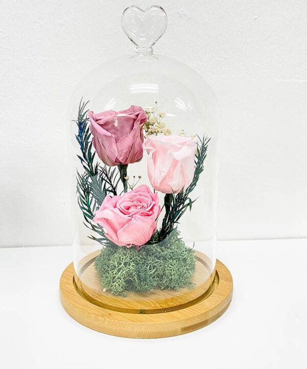 Valentines Preserved Red 3 Rose Pink Belljar