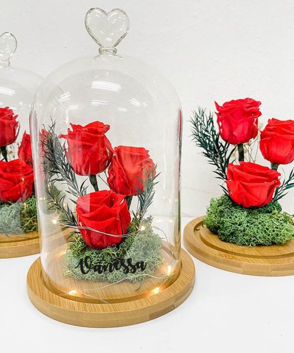 Valentines Preserved Red 3 Roses Belljar