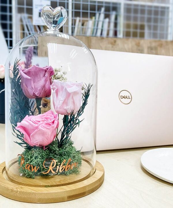 Valentines Preserved Red 3 Roses Pink Belljar