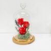 Valentines Preserved Red Rose Belljar
