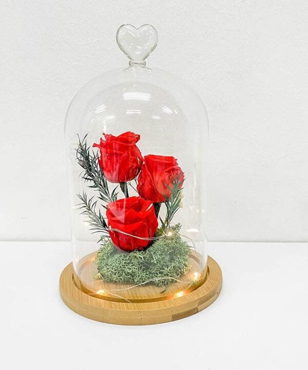 Valentines Preserved Red Rose Belljar