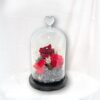Cupid Reds Bell Jar Flower