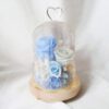 Preserved-Flower-Belljar-Blue Roses