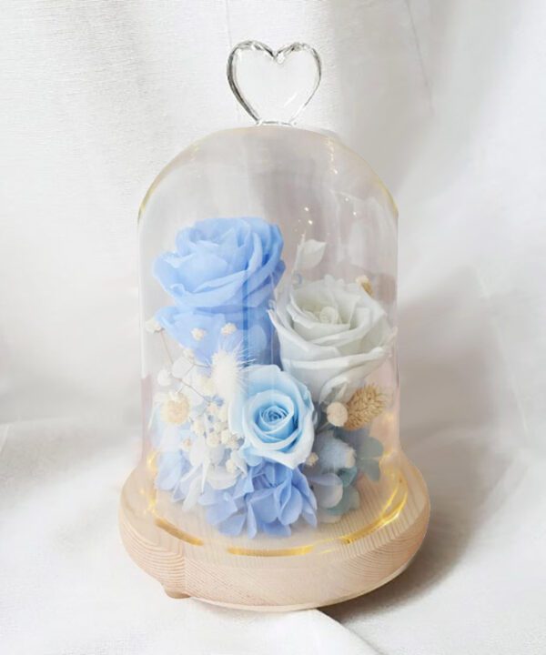 Preserved-Flower-Belljar-Blue Roses