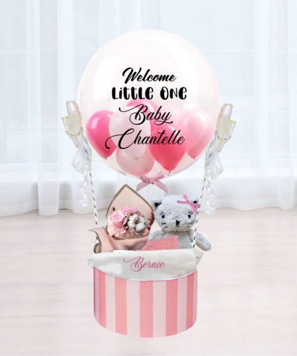 Pink Cat Hot Air Balloon Hamper